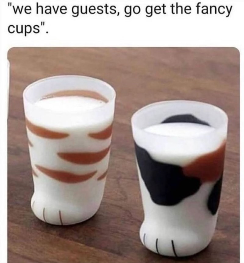 "we have guests, go get the fancy cups".