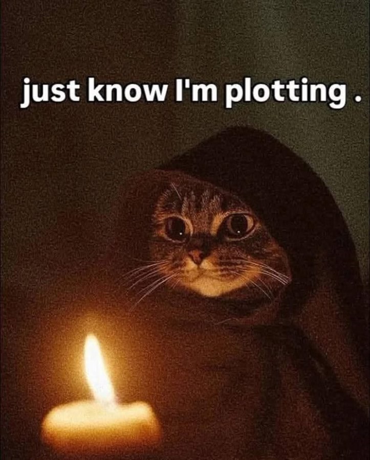 just know I'm plotting.