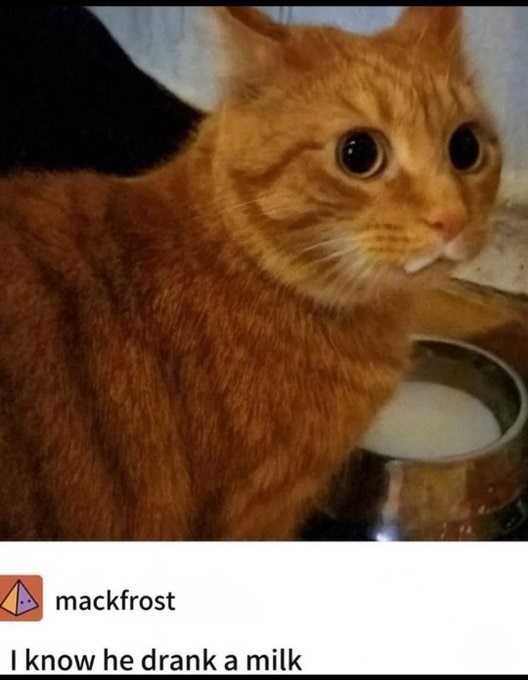 mackfrost I know he drank a milk