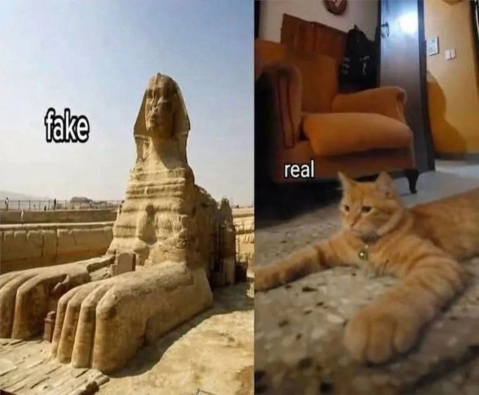 fake real