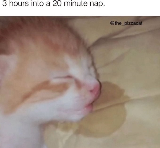 3 hours into a 20 minute nap. @the_pizzacat
