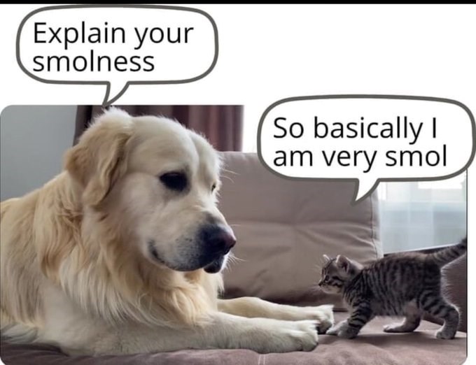 Explain your smolness So basically I am very smol