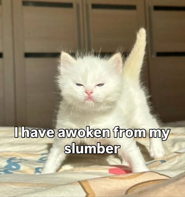 I have awoken from my slumber