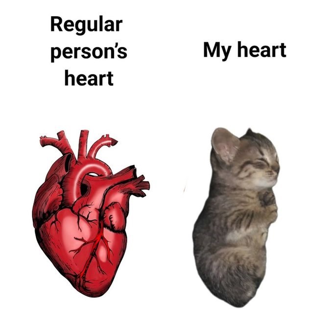 Regular person's heart My heart