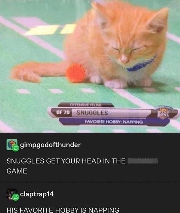OFFENSIVE FELINE OF 70 SNUGGLES FAVORITE HOBBY: NAPPING gimpgodofthunder SNUGGLES GET YOUR HEAD IN THE GAME claptrap14 HIS FAVORITE HOBBY IS NAPPING