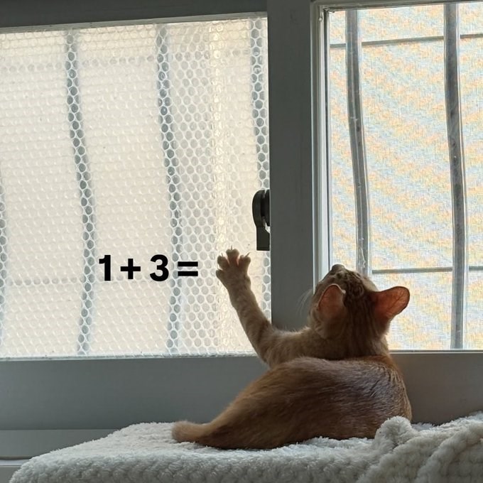 1+3=