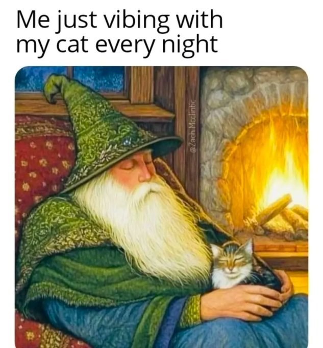 Me just vibing with my cat every night @Zach Mcclintic