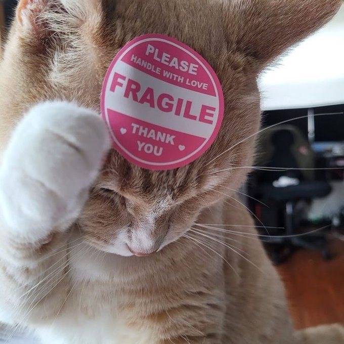 PLEASE HANDLE WITH LOVE FRAGILE THANK YOU