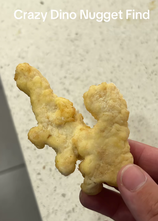 Crazy Dino Nugget Find