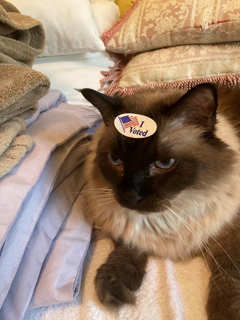 Voted