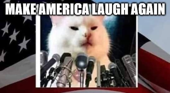 MAKE AMERICA LAUGH AGAIN