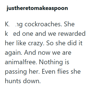 justheretomakeaspoon K. ng cockroaches. She ked one and we rewarded her like crazy. So she did it again. And now we are animalfree. Nothing is passing her. Even flies she hunts down.
