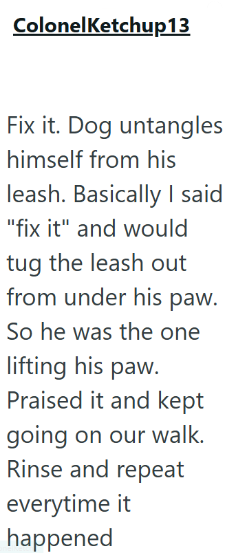 ColonelKetchup13 Fix it. Dog untangles himself from his leash. Basically I said "fix it" and would tug the leash out from under his paw. So he was the one lifting his paw. Praised it and kept going on our walk. Rinse and repeat everytime it happened