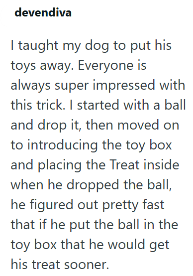 devendiva taught my dog to put his toys away. Everyone is always super impressed with this trick. I started with a ball and drop it, then moved on to introducing the toy box and placing the Treat inside when he dropped the ball, he figured out pretty fast that if he put the ball in the toy box that he would get his treat sooner.