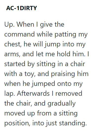 AC-1DIRTY Up. When I give the command while patting my chest, he will jump into my arms, and let me hold him. I started by sitting in a chair with a toy, and praising him when he jumped onto my lap. Afterwards I removed the chair, and gradually moved up from a sitting position, into just standing.