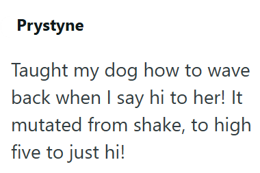 Prystyne Taught my dog how to wave back when I say hi to her! It mutated from shake, to high five to just hi!