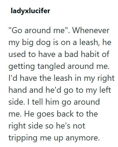 ladyxlucifer "Go around me". Whenever my big dog is on a leash, he used to have a bad habit of getting tangled around me. I'd have the leash in my right hand and he'd go to my left side. I tell him go around me. He goes back to the right side so he's not tripping me up anymore.
