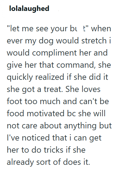 lolalaughed "let me see your bɩ t" when ever my dog would stretch i would compliment her and give her that command, she quickly realized if she did it she got a treat. She loves foot too much and can't be food motivated bc she will not care about anything but I've noticed that i can get her to do tricks if she already sort of does it.