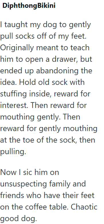 Diphthong Bikini I taught my dog to gently pull socks off of my feet. Originally meant to teach him to open a drawer, but ended up abandoning the idea. Hold old sock with stuffing inside, reward for interest. Then reward for mouthing gently. Then reward for gently mouthing at the toe of the sock, then pulling. Now I sic him on unsuspecting family and friends who have their feet on the coffee table. Chaotic good dog.