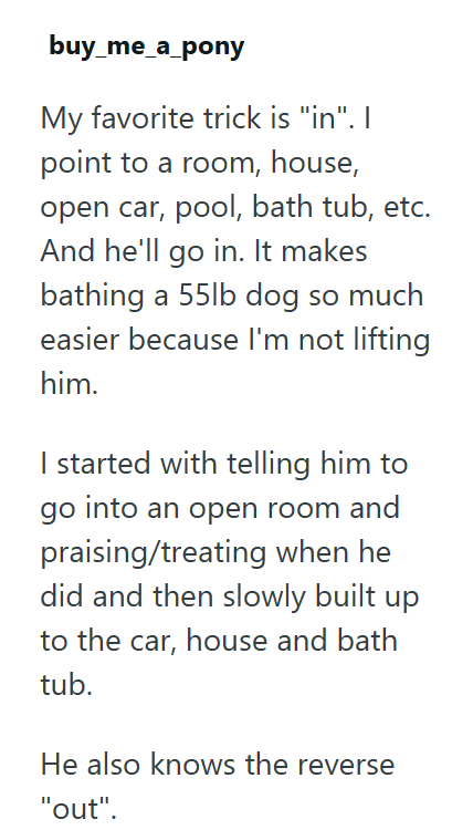 buy_me_a_pony My favorite trick is "in". I point to a room, house, open car, pool, bath tub, etc. And he'll go in. It makes bathing a 55lb dog so much easier because I'm not lifting him. I started with telling him to go into an open room and praising/treating when he did and then slowly built up to the car, house and bath tub. He also knows the reverse "out".