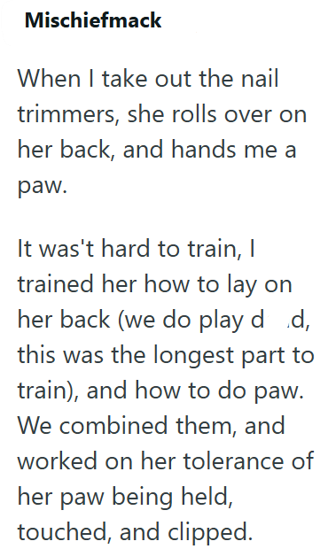 Mischiefmack When I take out the nail trimmers, she rolls over on her back, and hands me a paw. It was't hard to train, I trained her how to lay on her back (we do play dd, this was the longest part to train), and how to do paw. We combined them, and worked on her tolerance of her paw being held, touched, and clipped.