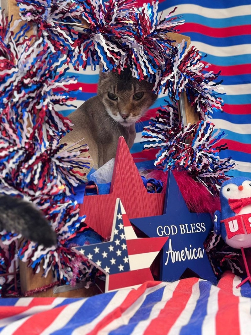 GOD BLESS America