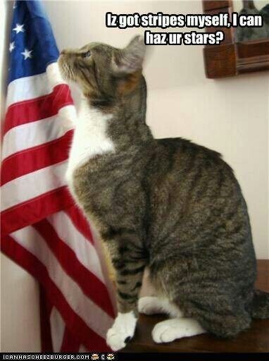 ICANHASCHEEZBURGER.COM Iz got stripes myself, I can haz ur stars?