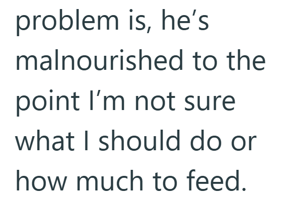 problem is, he's malnourished to the point I'm not sure what I should do or how much to feed.