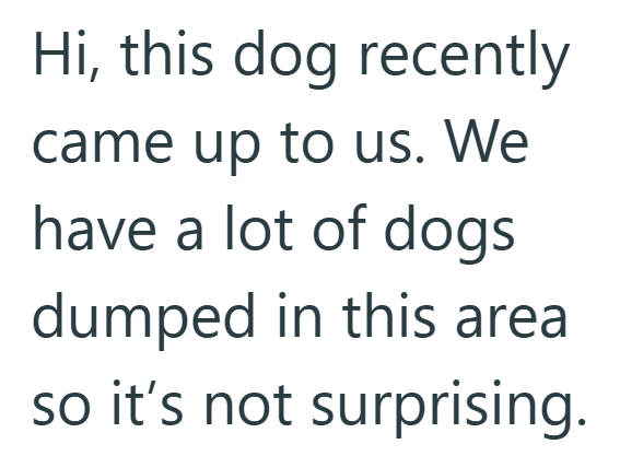 Hi, this dog recently came up to us. We have a lot of dogs dumped in this area so it's not surprising.