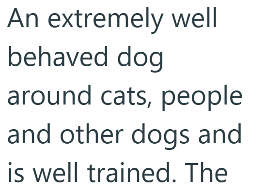 An extremely well behaved dog around cats, people and other dogs and is well trained. The