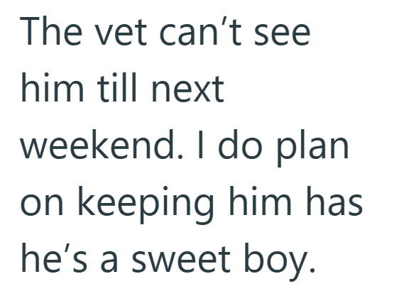 The vet can't see him till next weekend. I do plan on keeping him has he's a sweet boy.