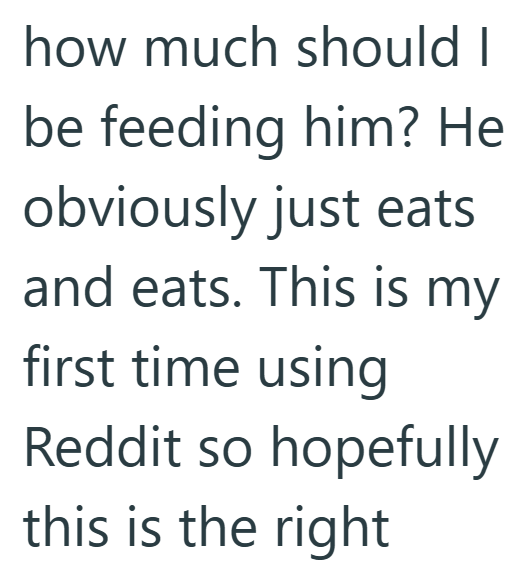 how much should I be feeding him? He obviously just eats and eats. This is my first time using Reddit so hopefully this is the right