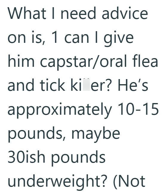 What I need advice on is, 1 can I give him capstar/oral flea and tick ki er? He's approximately 10-15 pounds, maybe 30ish pounds underweight? (Not