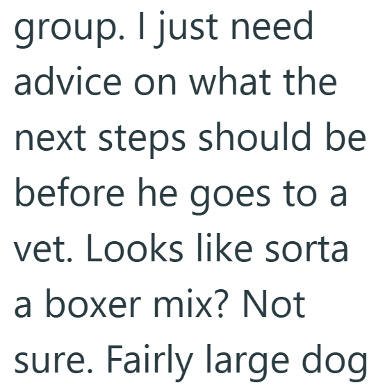 group. I just need advice on what the next steps should be before he goes to a vet. Looks like sorta a boxer mix? Not sure. Fairly large dog