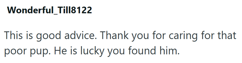 Wonderful_Till8122 This is good advice. Thank you for caring for that poor pup. He is lucky you found him.
