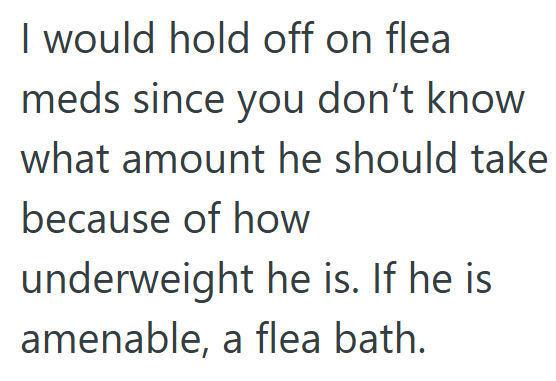 I would hold off on flea meds since you don't know what amount he should take because of how underweight he is. If he is amenable, a flea bath.
