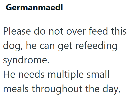 Germanmaedl Please do not over feed this dog, he can get refeeding syndrome. He needs multiple small meals throughout the day,