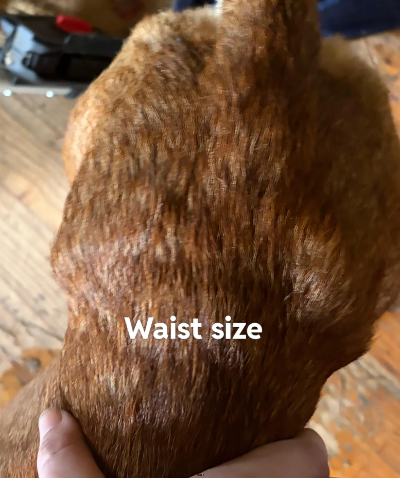 Waist size