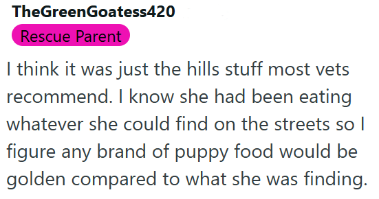 TheGreenGoatess420 Rescue Parent I think it was just the hills stuff most vets recommend. I know she had been eating whatever she could find on the streets so I figure any brand of puppy food would be golden compared to what she was finding.