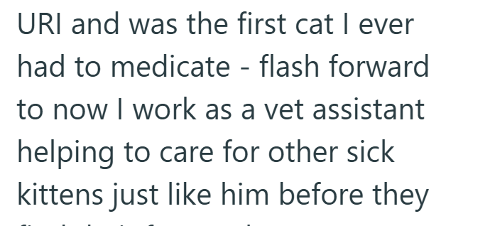 URI and was the first cat I ever had to medicate - flash forward to now I work as a vet assistant helping to care for other sick kittens just like him before they
