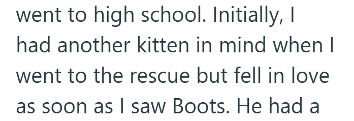 went to high school. Initially, I had another kitten in mind when I went to the rescue but fell in love as soon as I saw Boots. He had a