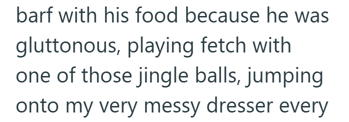 barf with his food because he was gluttonous, playing fetch with one of those jingle balls, jumping onto my very messy dresser every