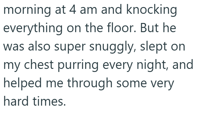 morning at 4 am and knocking everything on the floor. But he was also super snuggly, slept on my chest purring every night, and helped me through some very hard times.