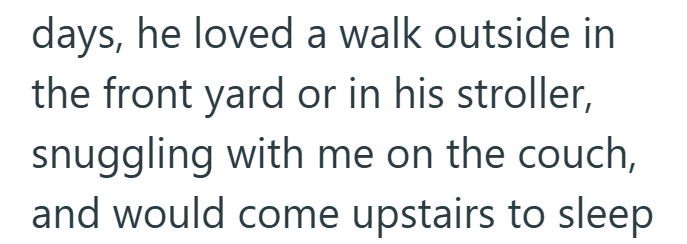 days, he loved a walk outside in the front yard or in his stroller, snuggling with me on the couch, and would come upstairs to sleep