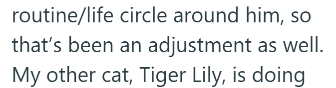routine/life circle around him, so that's been an adjustment as well. My other cat, Tiger Lily, is doing
