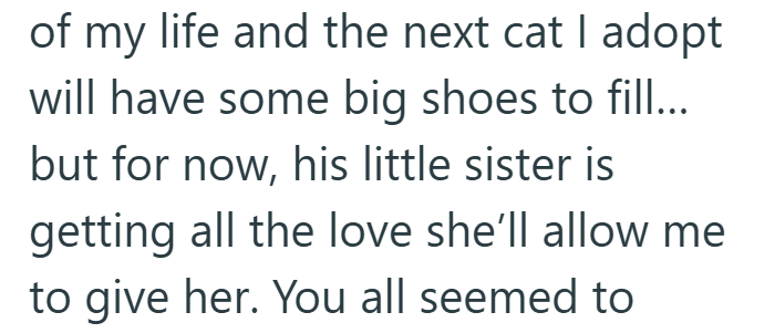 of my life and the next cat I adopt will have some big shoes to fill... but for now, his little sister is getting all the love she'll allow me to give her. You all seemed to