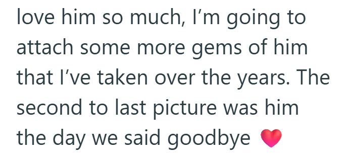 love him so much, I'm going to attach some more gems of him that I've taken over the years. The second to last picture was him the day we said goodbye