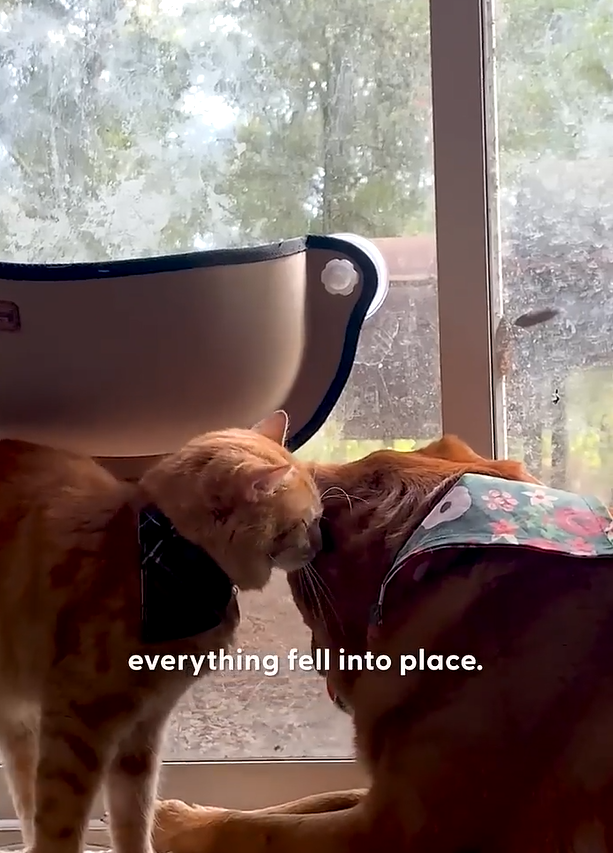 everything fell into place.