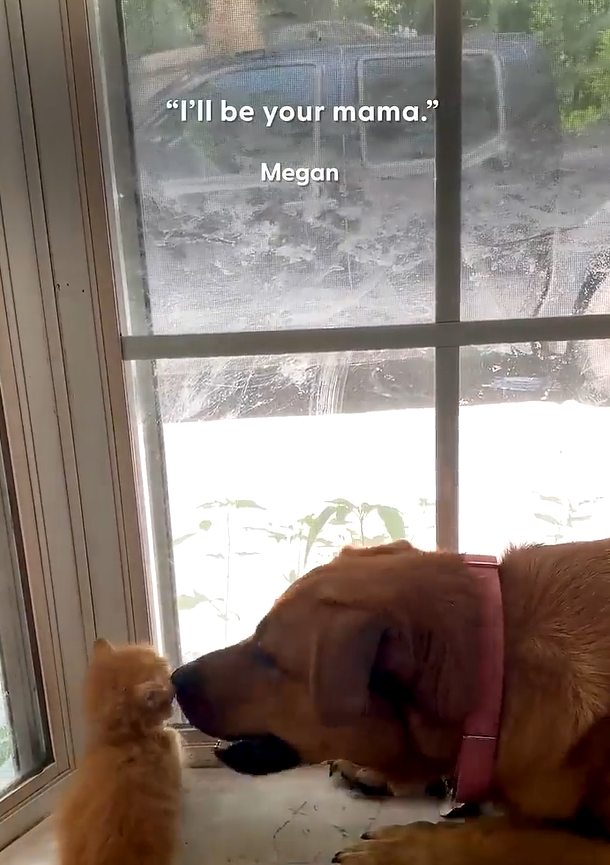 "I'll be your mama." Megan