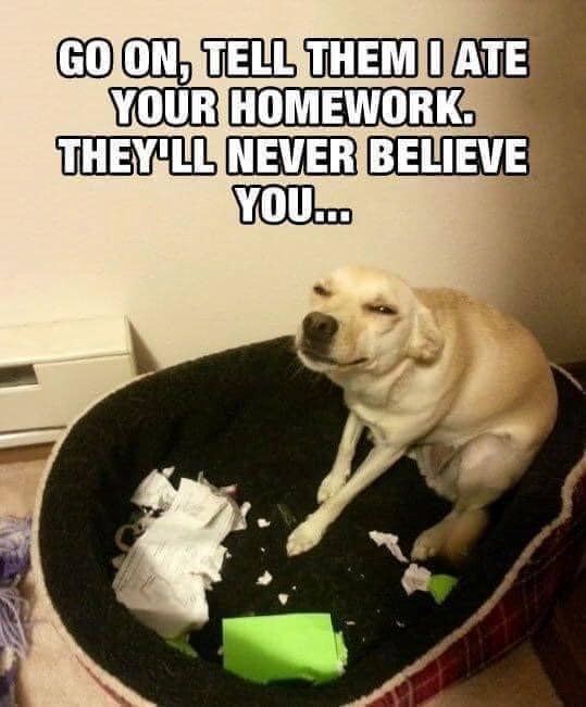 GO ON, TELL THEM I ATE YOUR HOMEWORK. THEY'LL NEVER BELIEVE YOU...